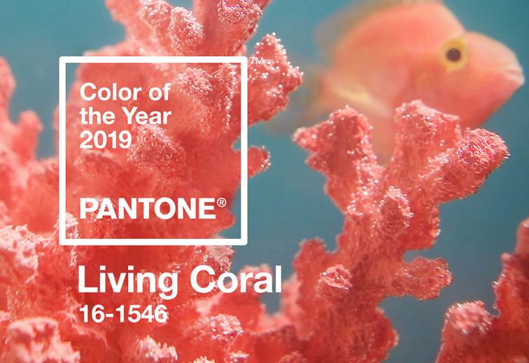 http://www.newspedrali.it/Lanci_stampa/0105_PANTONE/ITA/Living%20Coral_file/image002.jpg